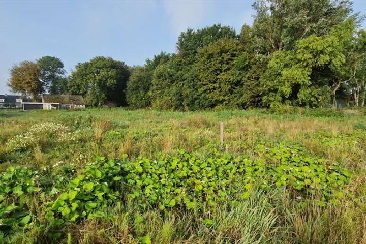 Bekijk foto 9 van Bredeweg 10