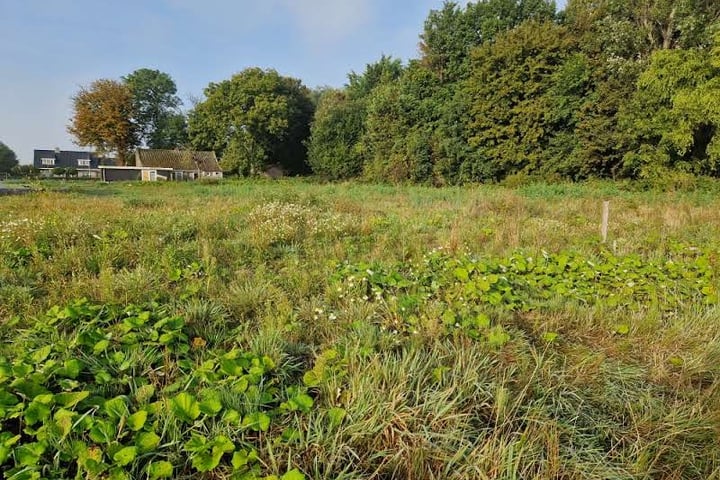 Bekijk foto 6 van Bredeweg 10