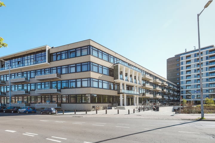 Nijenoord 367