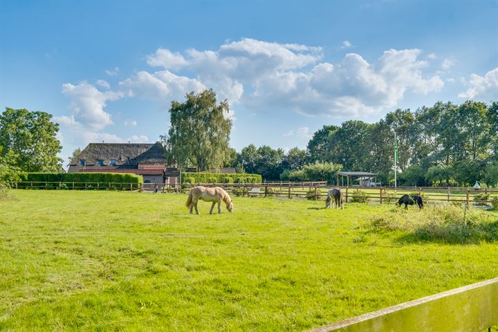 Bekijk foto 2 van Broekstraat 21