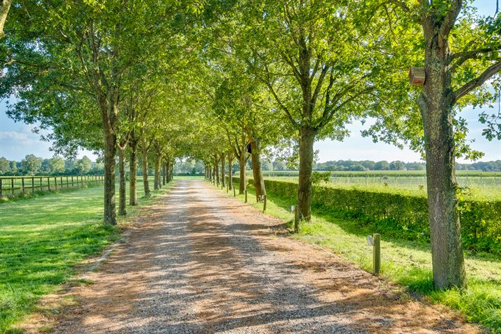 Bekijk foto 52 van Broekstraat 21