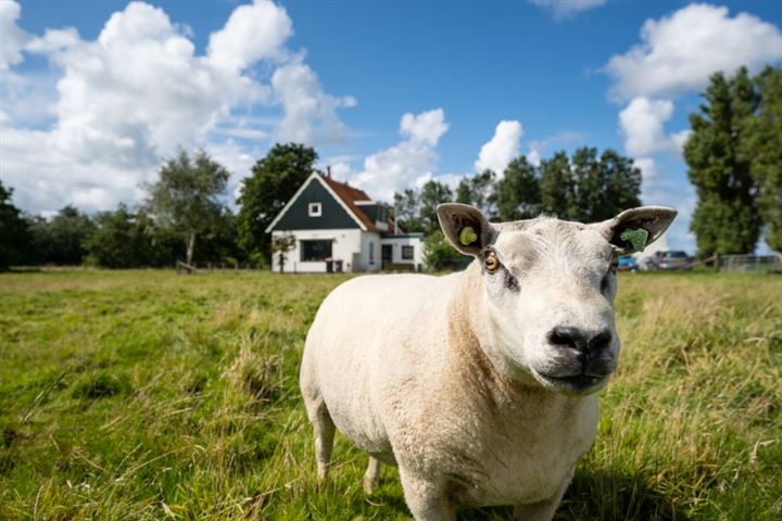 Bekijk foto 34 van Postweg 117-121