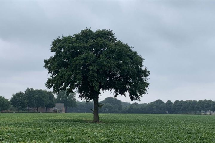 Bekijk foto 17 van Heldersveld Overloon