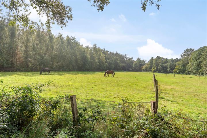 Bekijk foto 38 van Warenveldehoek 25