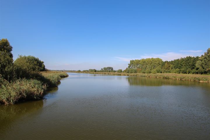 Bekijk foto 3 van Rozenlaan 28