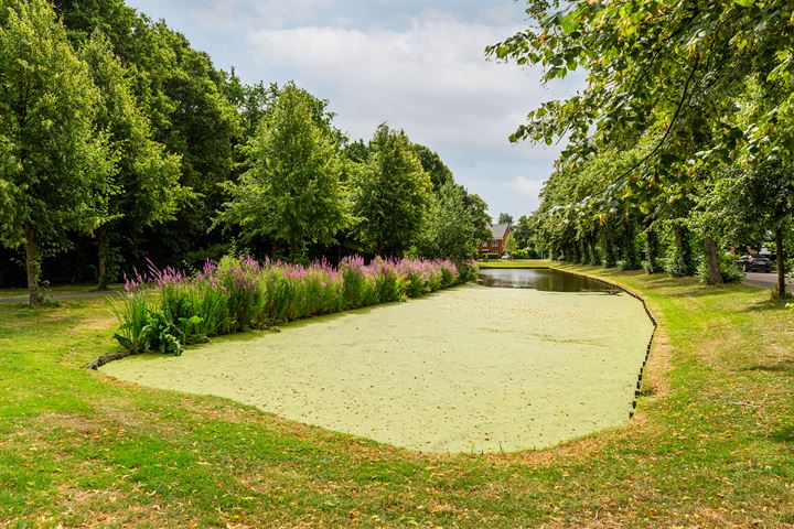 Bekijk foto 41 van Hoornsingel 35