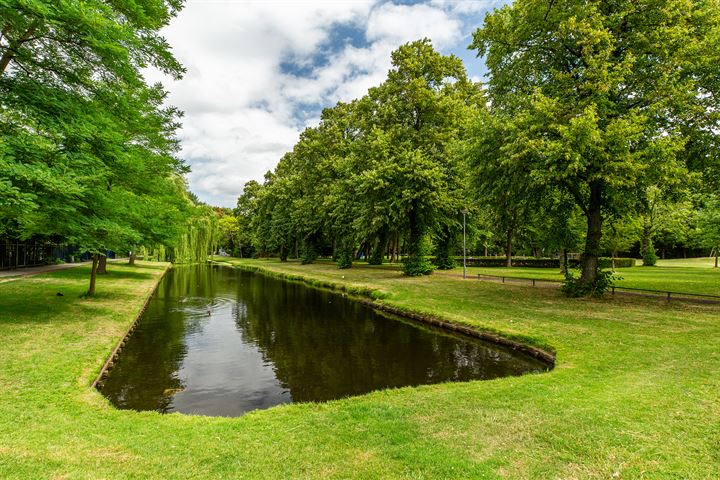 Bekijk foto 42 van Hoornsingel 35