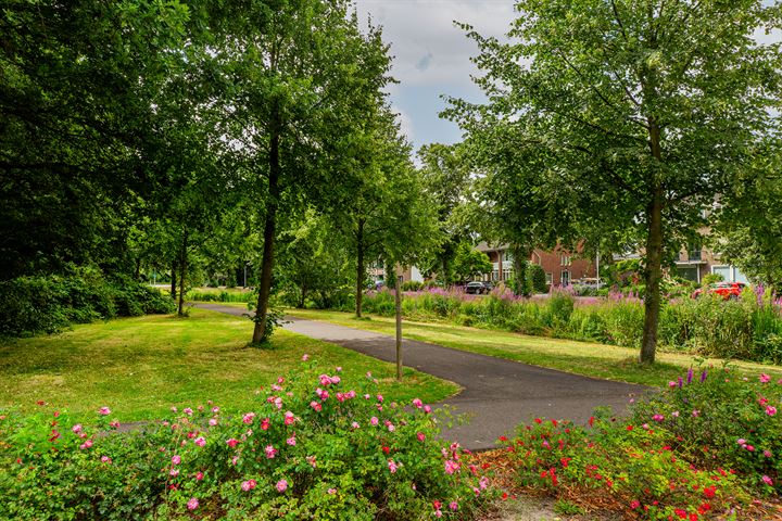 Bekijk foto 43 van Hoornsingel 35