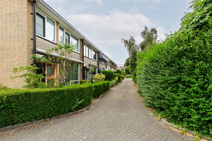 Bekijk foto 40 van Hoornsingel 35