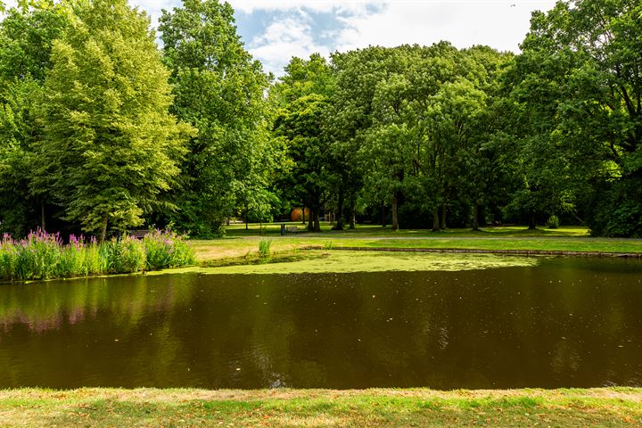 Bekijk foto 44 van Hoornsingel 35