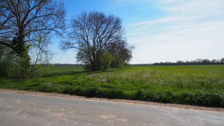 Foto 2 van Stüvenest 15