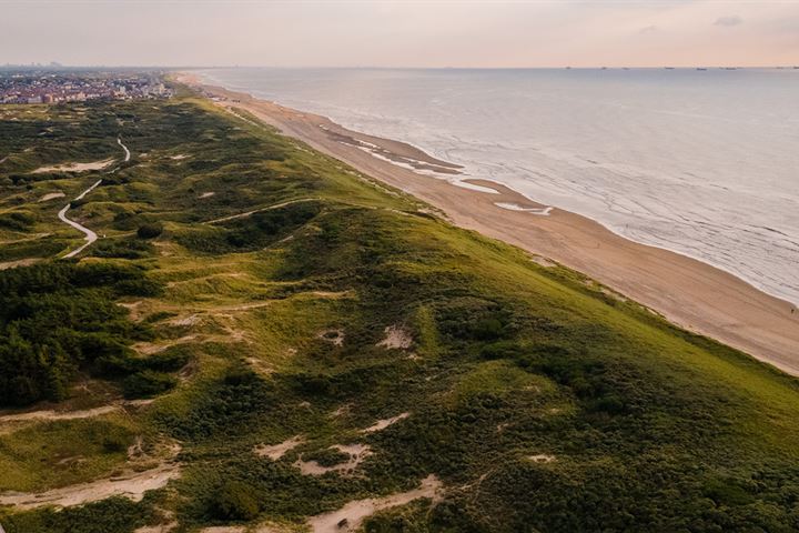 Bekijk foto 16 van Kastanjelaantje 33 (bnr 14)