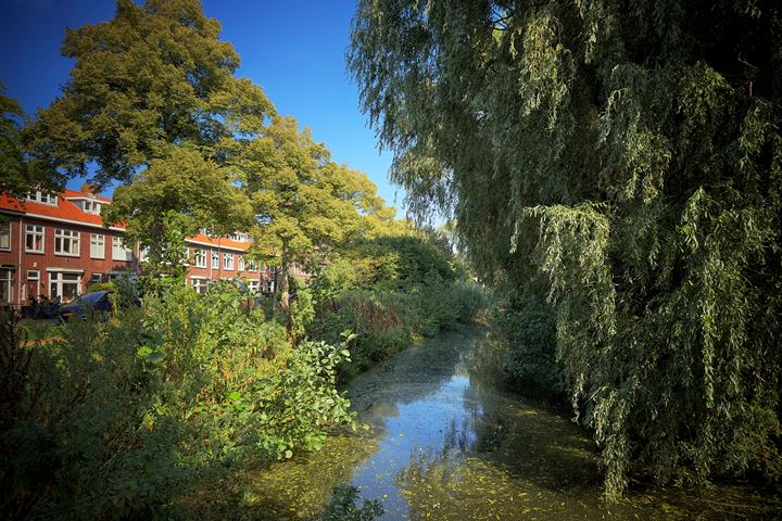 Bekijk foto 38 van Van de Sande Bakhuyzenlaan 8