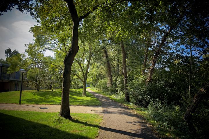 Bekijk foto 41 van Van de Sande Bakhuyzenlaan 8