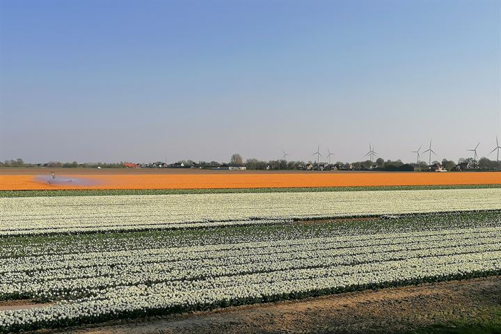 Bekijk foto 87 van Kraaiendijk 4