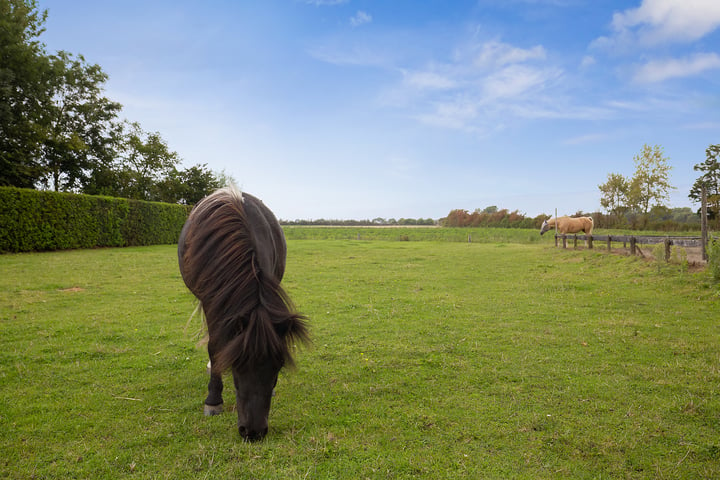 Bekijk foto 43 van Vriezenveenseweg 5