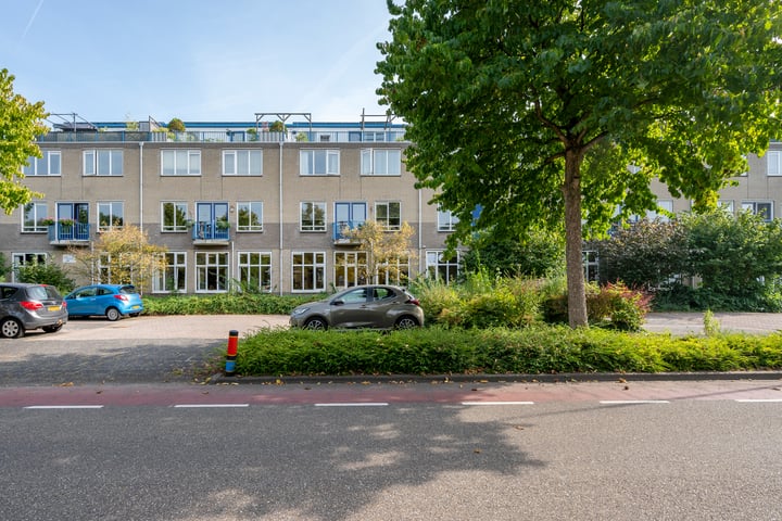 Buitenweg 318