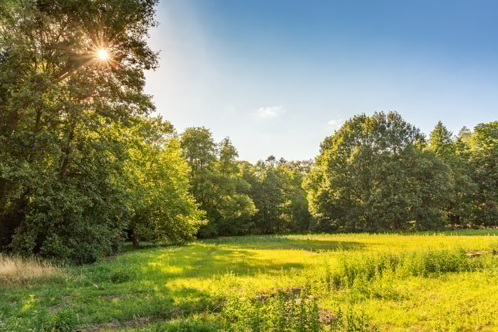 Bouwkavels 't Vaneker - kavels Landhuizen (Bouwnr. 175)