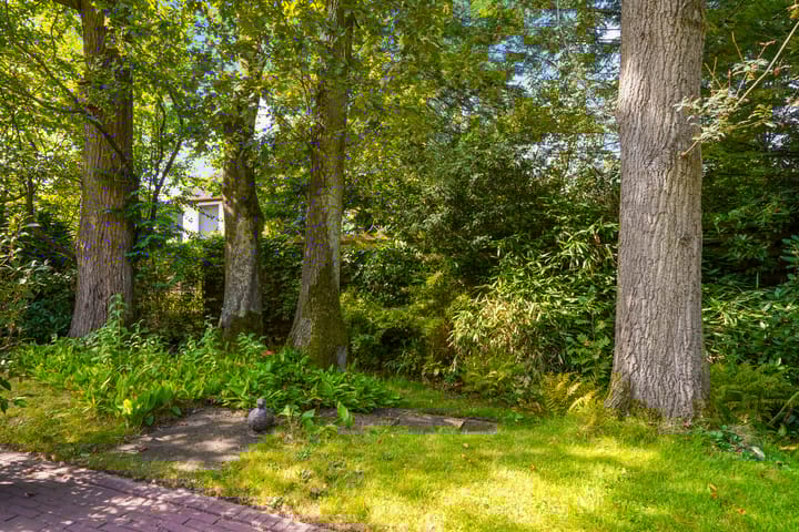 Foto 29 van Kivitslaan 31-A