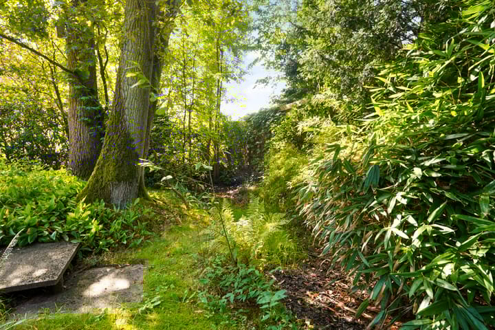 Foto 30 van Kivitslaan 31-A