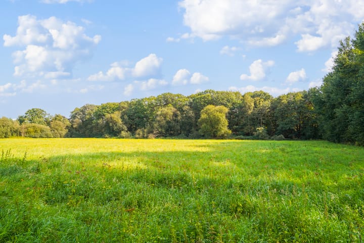 Foto 35 van Kivitslaan 31-A