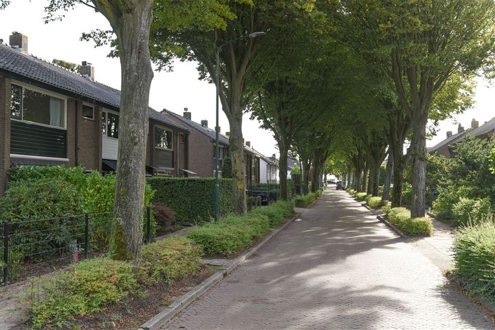 Bekijk foto 2 van Raadhuislaan 26