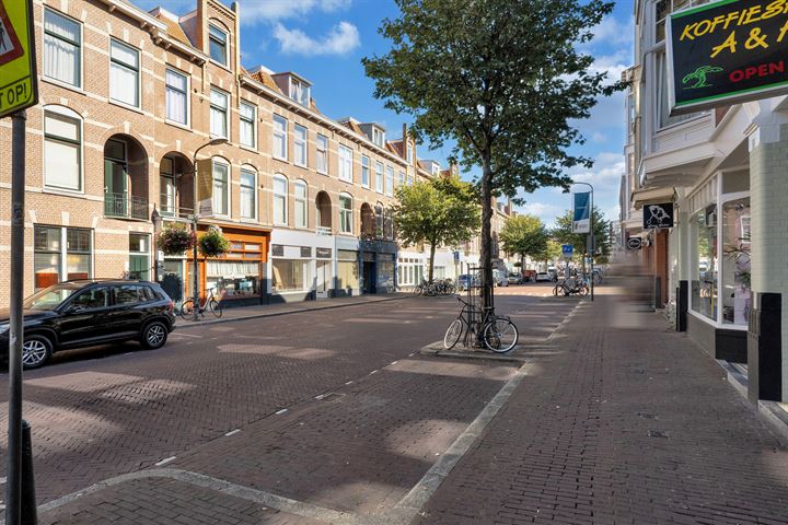 Bekijk foto 34 van Professor Kaiserstraat 42