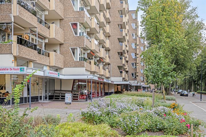 Bekijk foto 20 van Koning Lodewijklaan 238