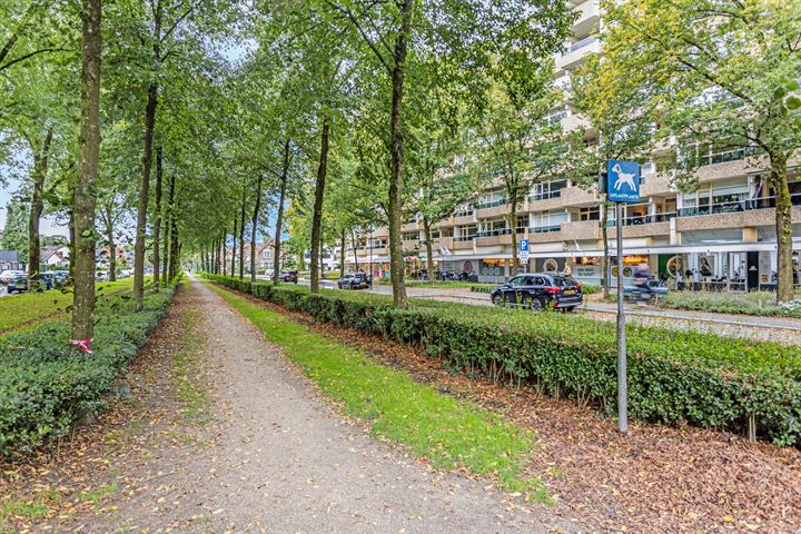 Bekijk foto 21 van Koning Lodewijklaan 238