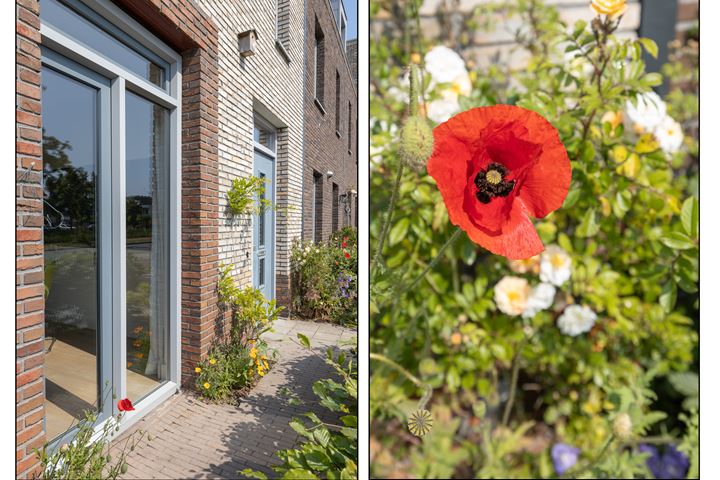 Bekijk foto 6 van Bloemendalerpoldersingel 22