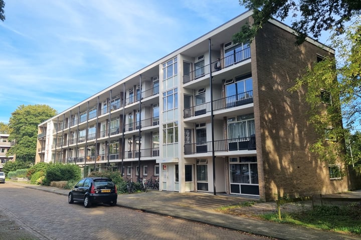 De Reiger 199