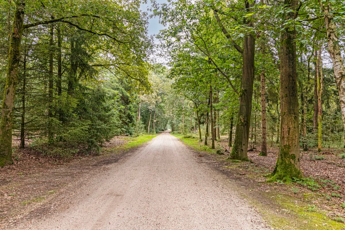 Foto 34 van Bosrand 9