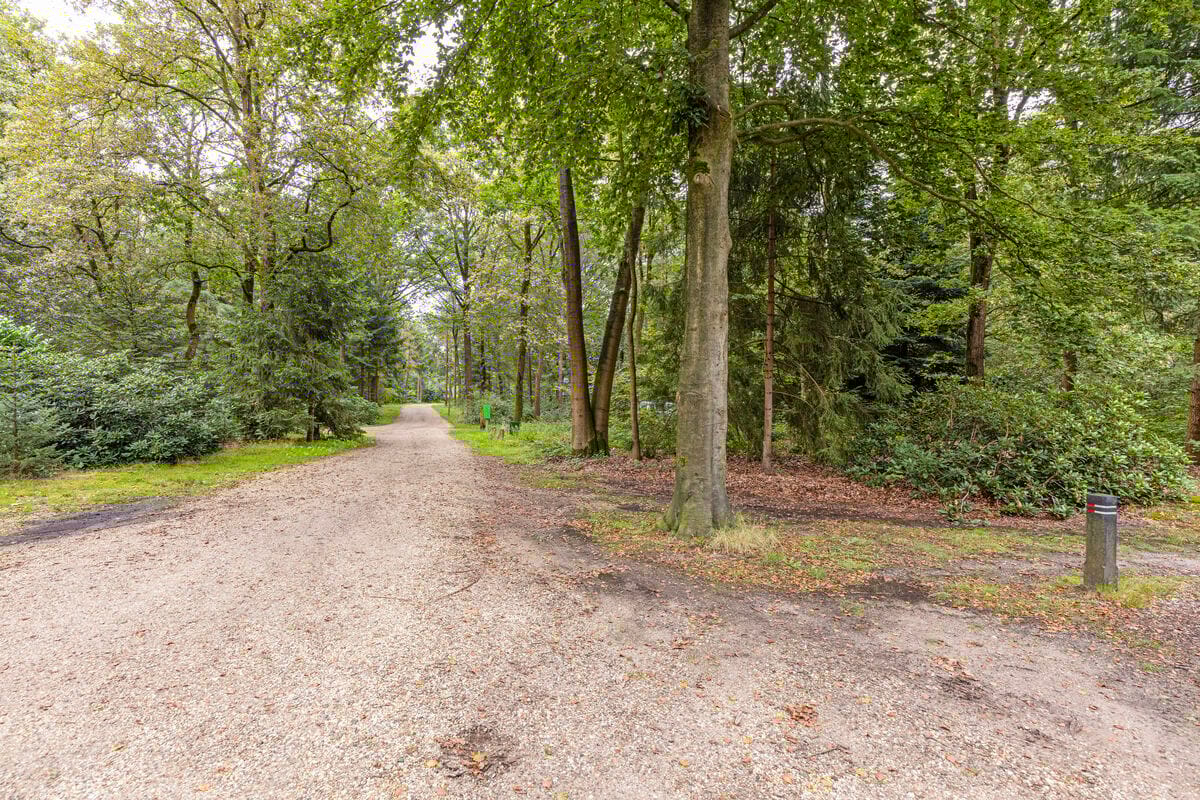 Foto 35 van Bosrand 9