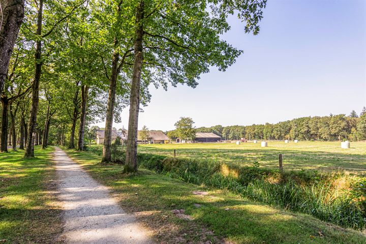 Bekijk foto 27 van Vledderweg 20