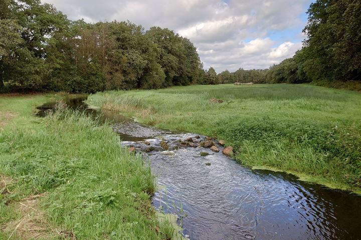 Bekijk foto 40 van Nijenkamp 18