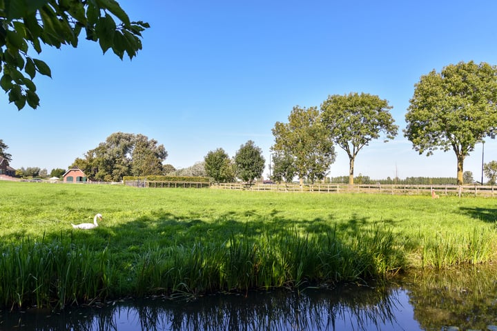 Bekijk foto 48 van Pieter 17