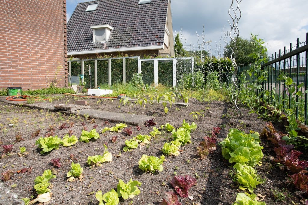 Foto 55 van Industrieweg 8-B