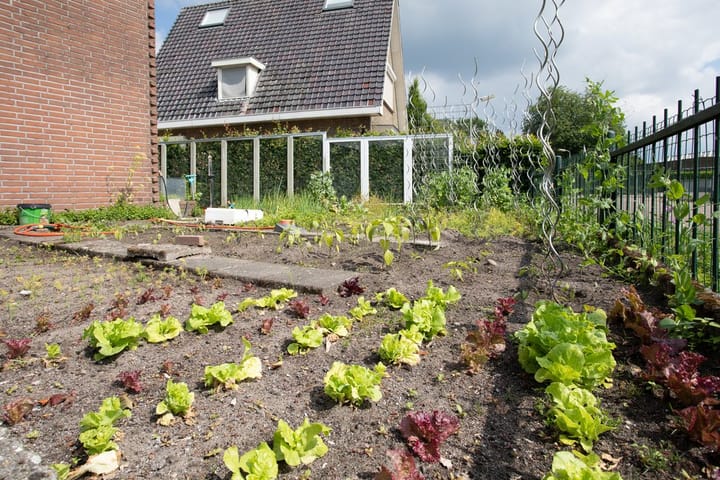 Photo 55 of Industrieweg 8-B