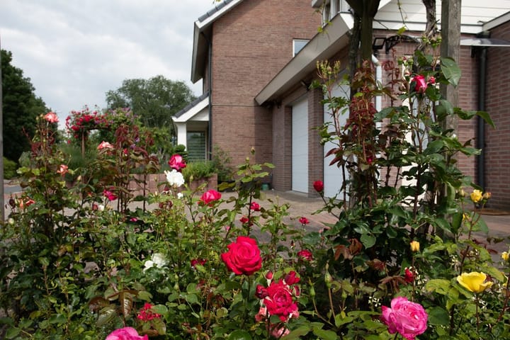 Photo 56 of Industrieweg 8-B