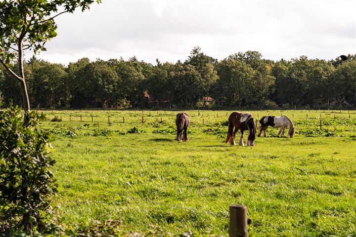 Bekijk foto 48 van Dorpsstraat 15