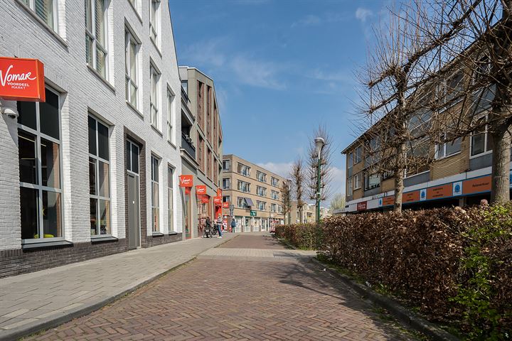 View photo 31 of Pieter de Hooghstraat 1-A