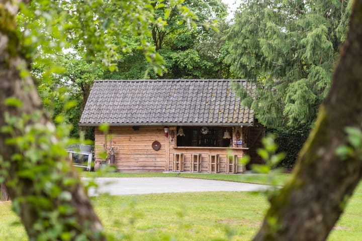 Foto 23 van Hoenderloseweg 113