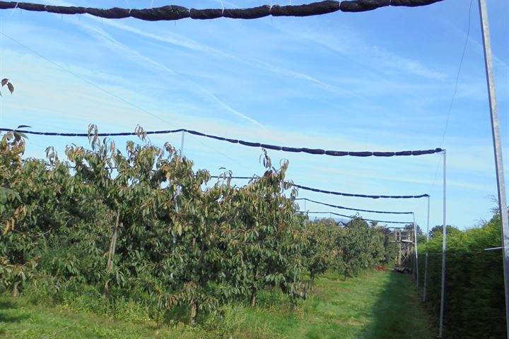 Kromstraatje, Oud Gastel