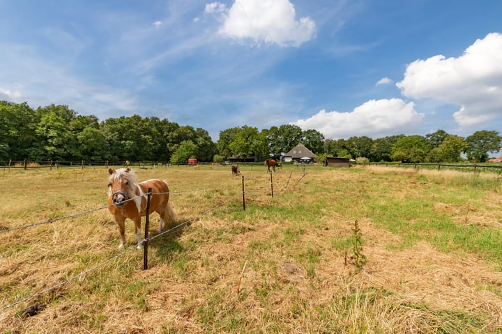 Bekijk foto 91 van Verl Hoogeveense Vaart 165