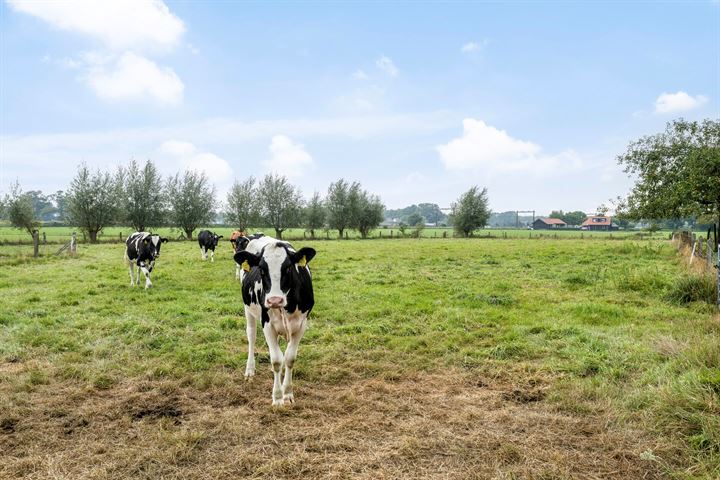 Bekijk foto 44 van Brunesengweg 14