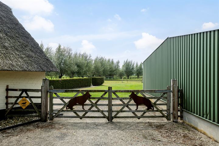 Bekijk foto 40 van Brunesengweg 14