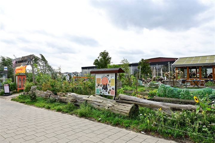 Bekijk foto 20 van Vogelplantsoen 8-.