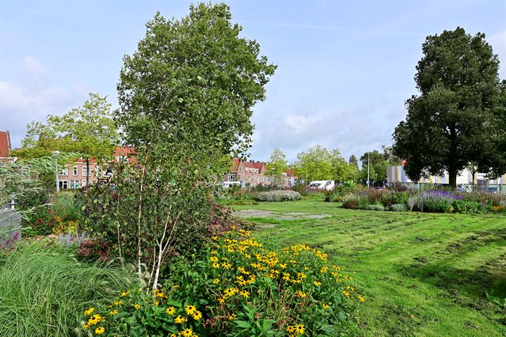 Bekijk foto 16 van Vogelplantsoen 8-.