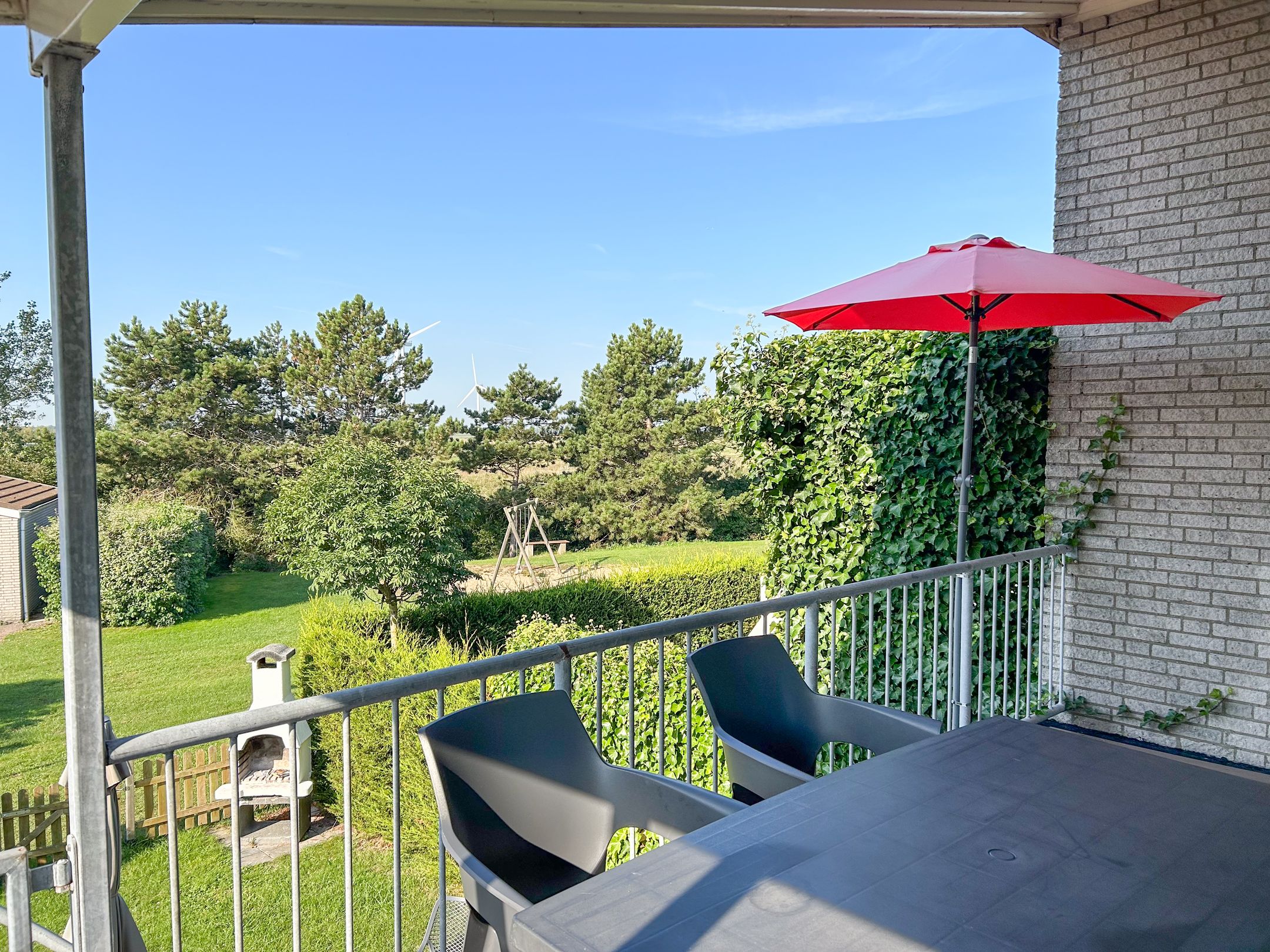 Photo 3 of Ostrea 18