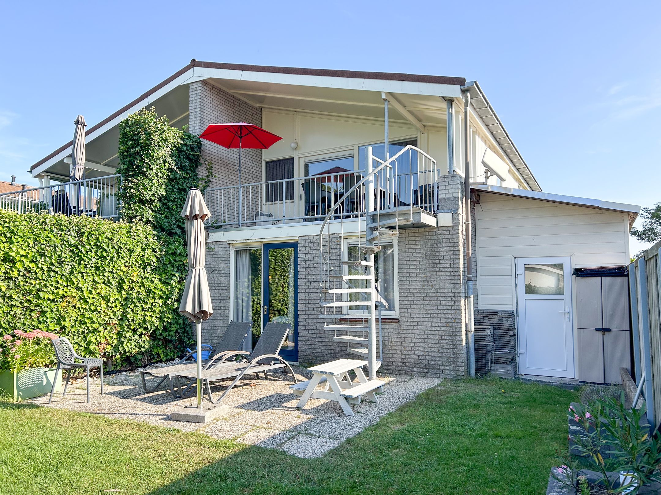 Photo 6 of Ostrea 18